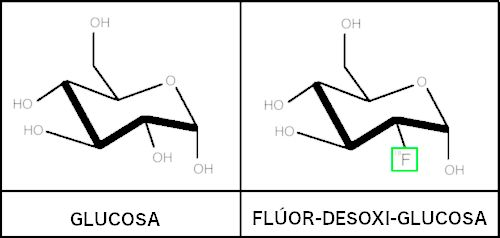 Flúor y flúor-desoxi-glucosa